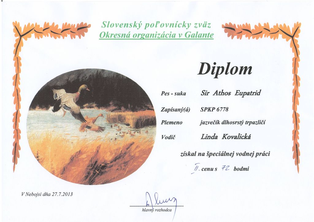 diplom